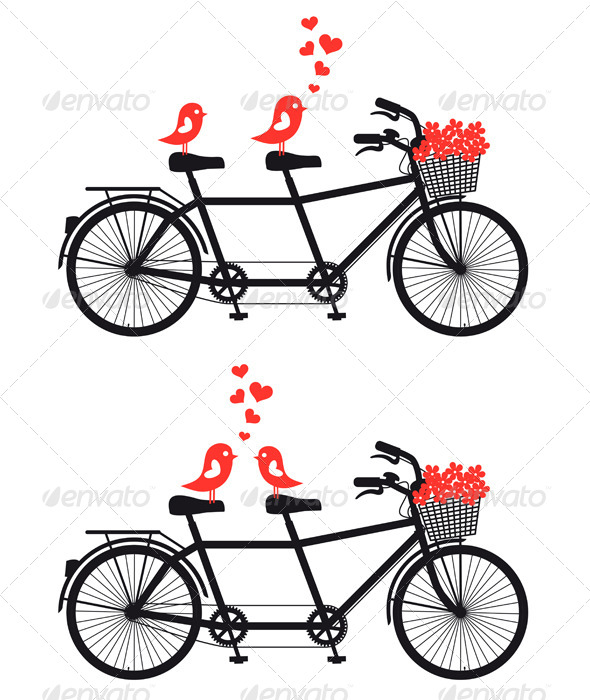 Tandem Bicycle with Love Birds