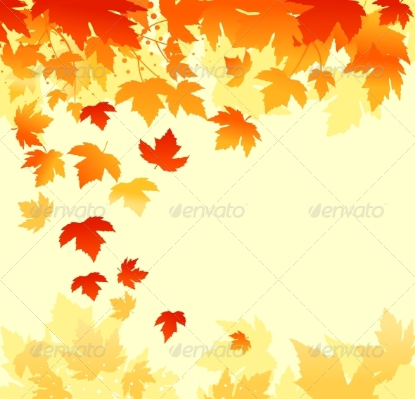 Autumn Leaves Background Autumn Leaves Background