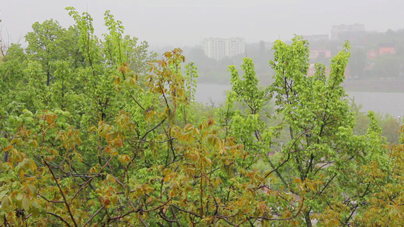 Rain 1 Rain 1