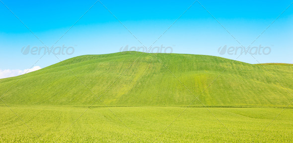 Rural background, rolling hill and green fields landscape, Tuscany, Italy.