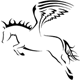Ilanus
