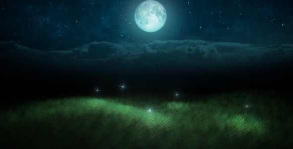 Fireflies loop Fireflies loop