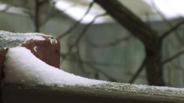 In Winter In Winter