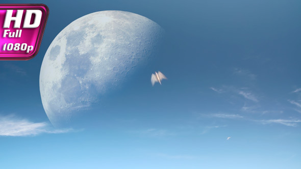 Moon Birds Moon Birds