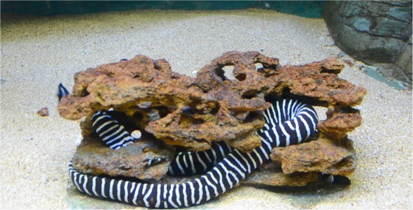 Underwater World 5 Underwater World 5