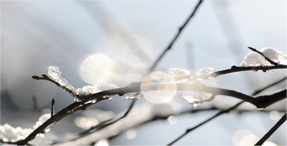 Winter Winter