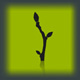 SimpleTwig