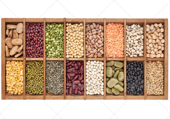 set of 16 legume samples - Stock Photo - Images