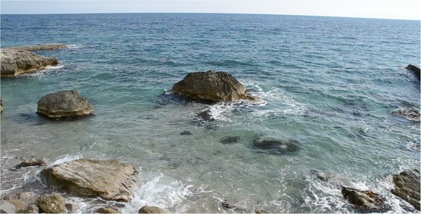 Sea 25 Sea 25