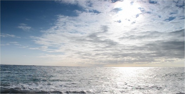 Sea 25 Sea 25