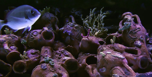 Under The Sea 2 Under The Sea 2