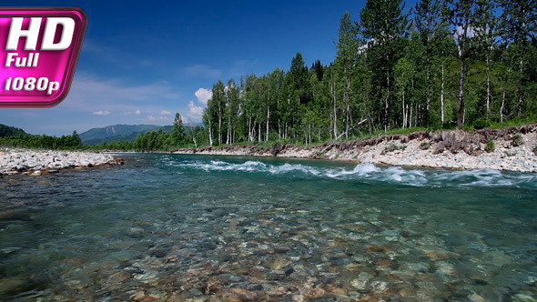 Altai Summer Altai Summer