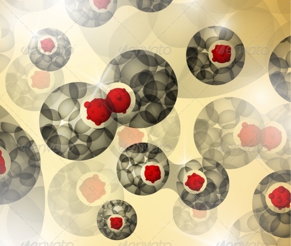 Cell Division Cell Division