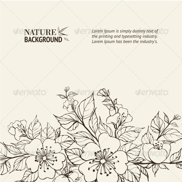 Flower Background Flower Background