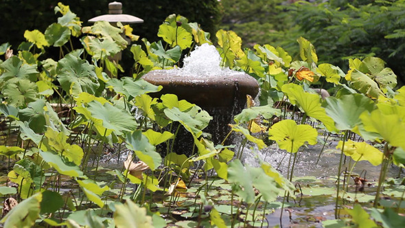 Stone Water Fountain Stone Water Fountain