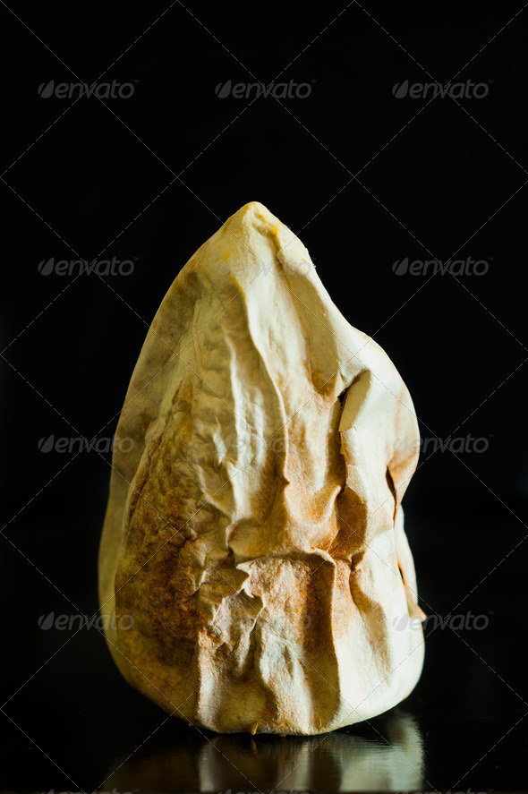 Avocado27;s Bone