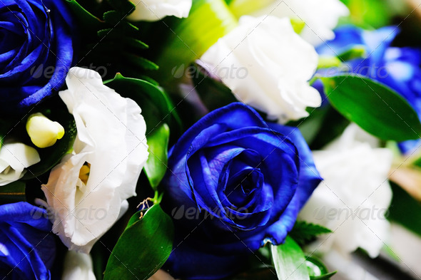Brides bouquet of blue roses