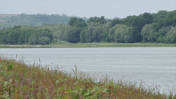 Plain River Shore with Herbage Plain River Shore with Herbage