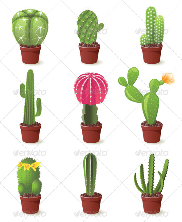 Cactuses Icons Cactuses Icons