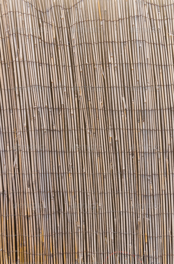 Bamboo screen background