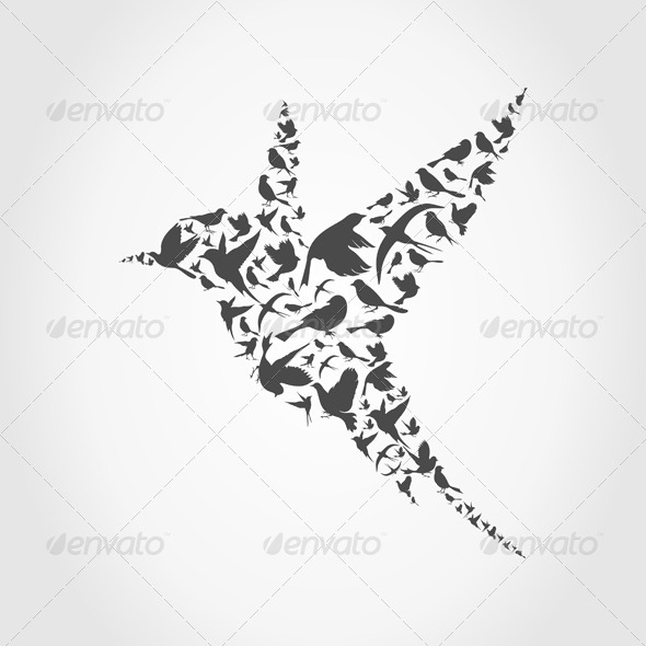 Birdie Birdie