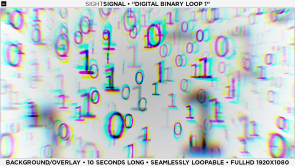 Digital Binary Loop 1 Digital Binary Loop 1