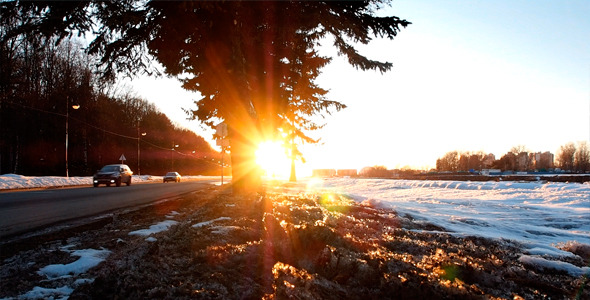 Forest Road And Sunset Forest Road And Sunset