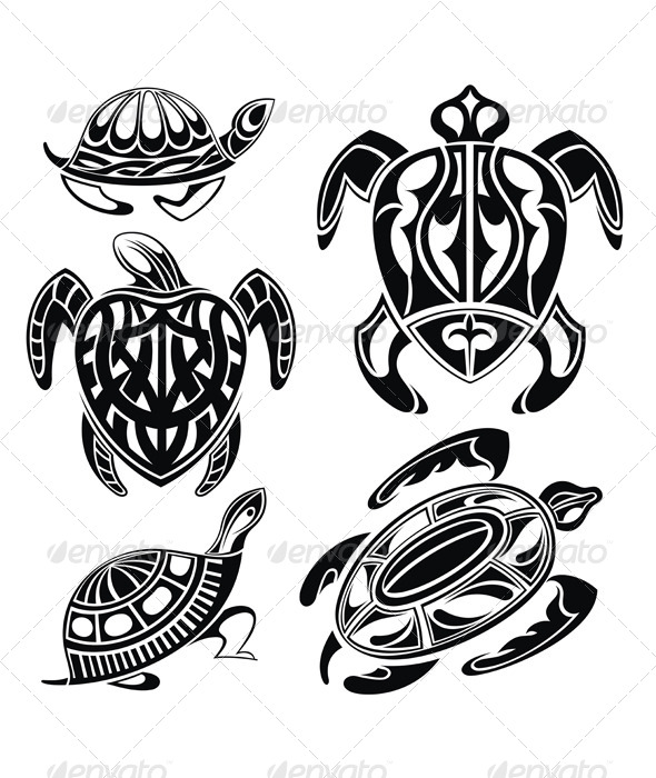 Turtle Turtle