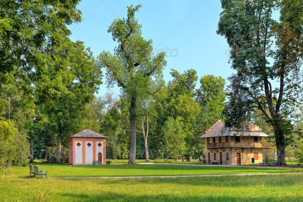 Green lawns among trees in Racconigi Park, Italy.