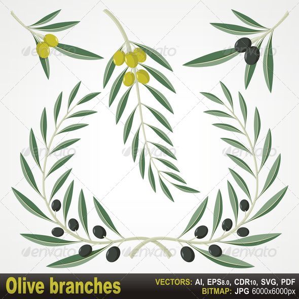Olive Branches Olive Branches