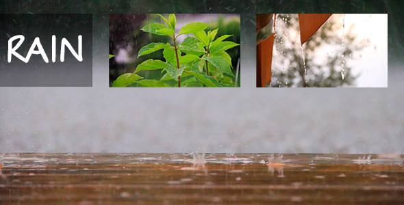 Rain Rain