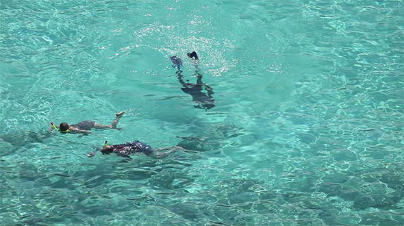 Snorkeling Snorkeling