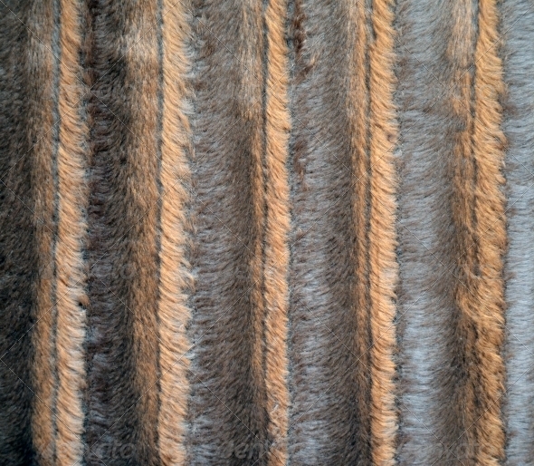 Sheep Fur Texture Sheep Fur Texture