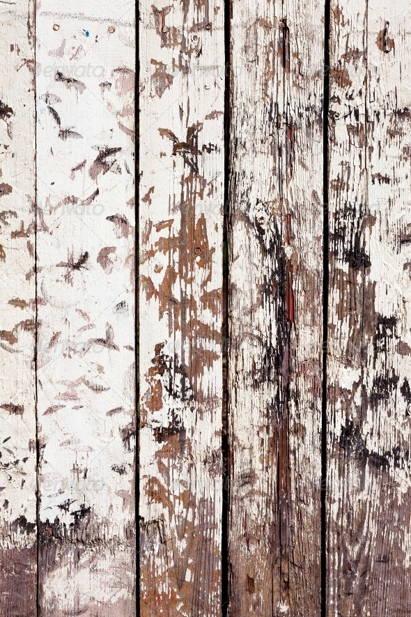 grungy white background of natural wood grungy white background of natural wood