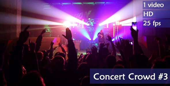 Live Concert Crowd Live Concert Crowd