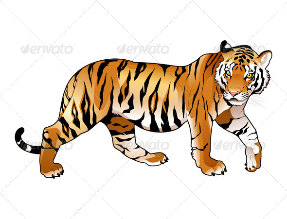 Red Tiger. - Animals Characters