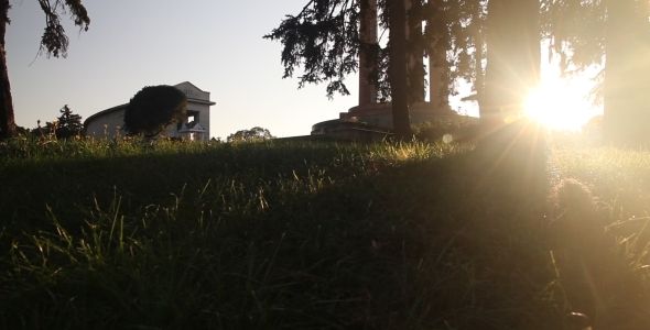 Afternoon Sun Behind Tree and Grass 1 Afternoon Sun Behind Tree and Grass 1