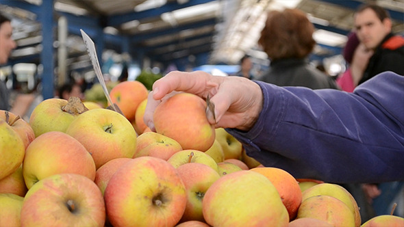 Picking Apples at Marketplace Picking Apples at Marketplace
