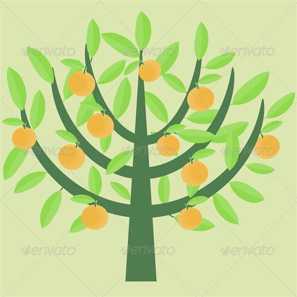 Orange Tree Orange Tree