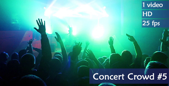 Concert Crowd Concert Crowd