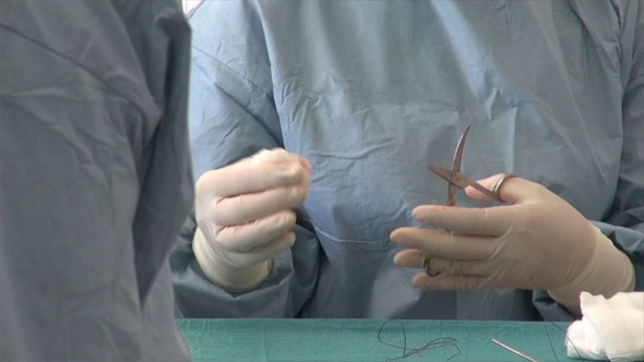 Nurse s Hand And Scissors Nurse s Hand And Scissors