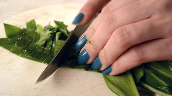 Cutting Fresh Vegetables Cutting Fresh Vegetables