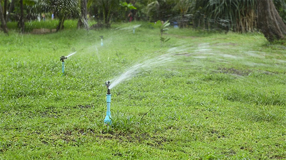 Watering The Lawn Watering The Lawn