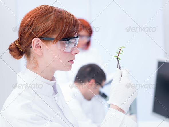 laboratory plant analysis