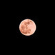 Full Moon Time Lapse Full Moon Time Lapse - VideoHive Item for Sale