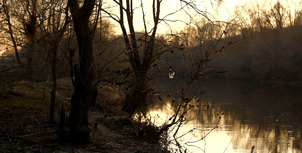 Evening River At Sunset Evening River At Sunset