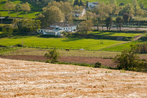 fields with stables