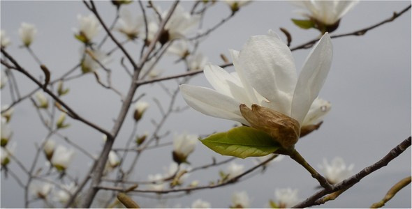 Spring 7 Spring 7
