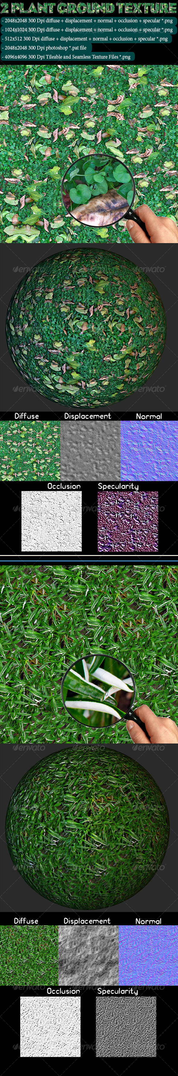 2 Plant Ground Texture - 3DOcean Item for Sale
