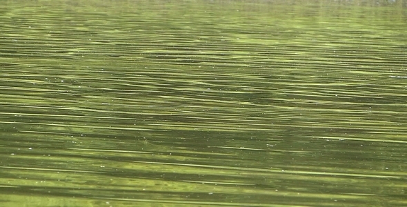 Water 2 Water 2